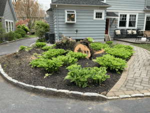 0af720_2f2dba8f3d194f788e19b2aa8272279emv2-1