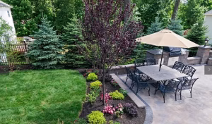 How to Transform a Small Yard with a Landscaping Company in Livingston, NJ