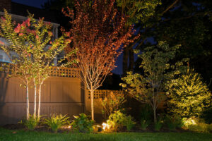 f9459e_8897724c27c24e0f823bc183c10123a5mv2_d_5648_3765_s_4_2-1 (1)