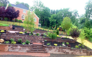 f9459e_a244b5a9dea14325a03a46bc4fd87215 (1)