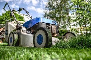 Lawn Maintenance: Using Organic Weed Killers
